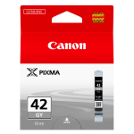 CANON 1LB CLI-42GY ink cartridge grey standard capacity 495 photos 1-pack - 6390B001_48h