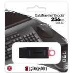 Kingston Pen Drive - DTX/256GB