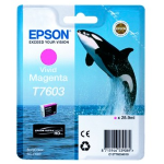 SOTTOCOSTO - EPSON T7603 ink cartridge vivid magenta high capacity 25,9ml 1356 pages 1-pack - SC-C13T76034010